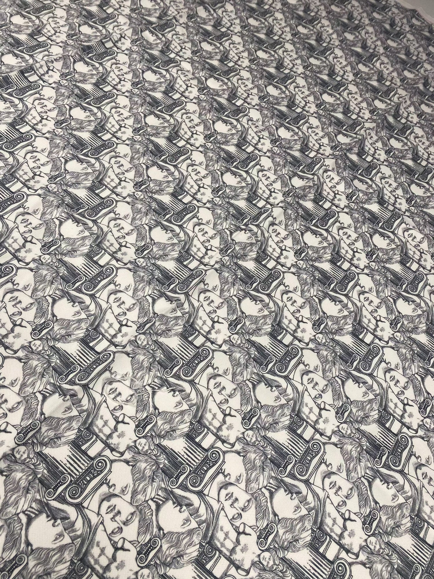 Yunan Heykel Designi upholstery fabric with intricate classical patterns in black and white for elegant home décor