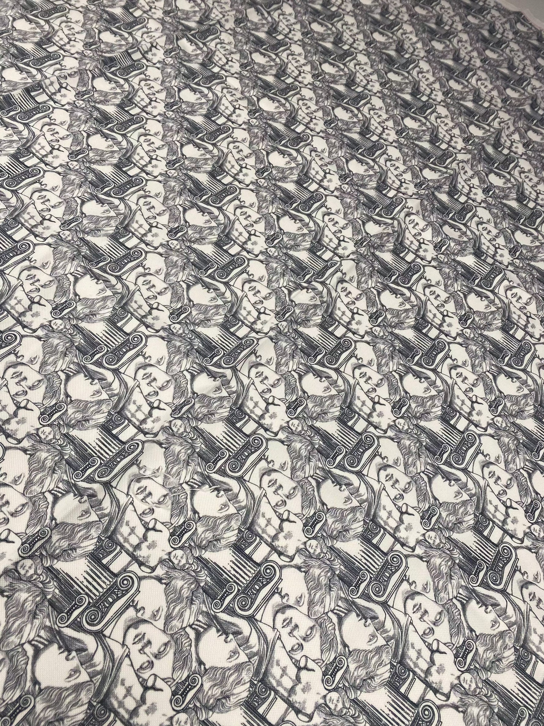 Yunan Heykel Designi upholstery fabric with intricate classical patterns in black and white for elegant home décor