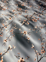 Grey Floral Spandex Fabric by the Metre - Whotex Fabrics London